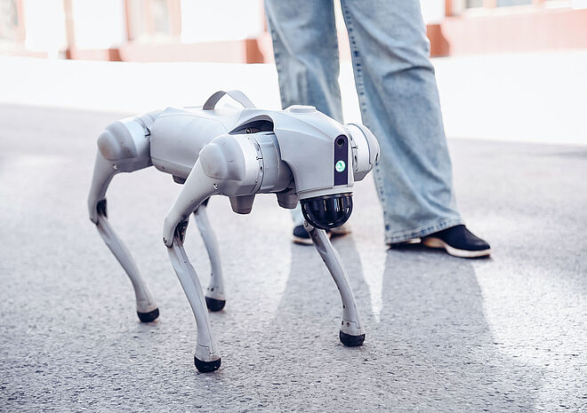 A four-legged, grey robot in the shape of a dog stands on an asphalt road next to a person. The so-called robot dog is equipped with sensors and cameras on its head to perceive its surroundings.
