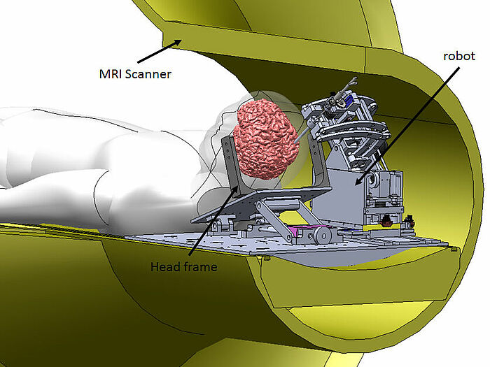 PiezoMotors 电源MRI机器人