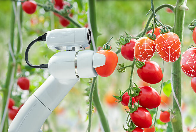 机器人智能农业中的无刷电机