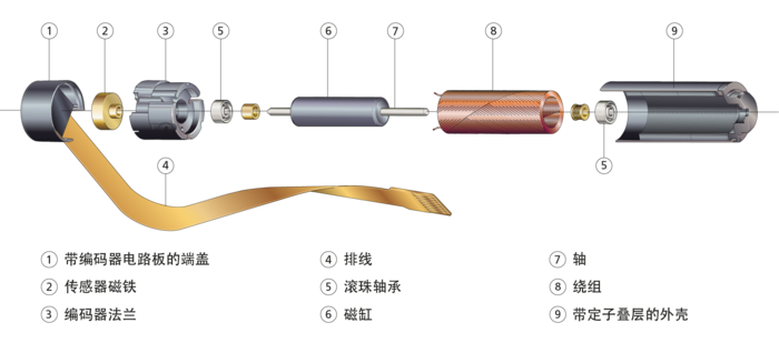 标有部件的剖视示意图，显示 FAULHABER 绝对编码器的结构。