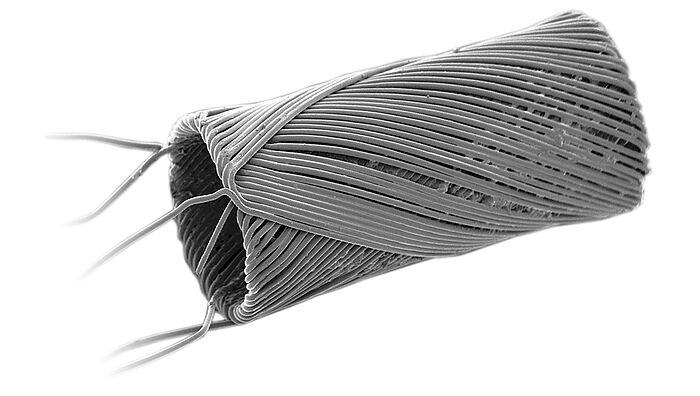 在电子显微镜下拍摄的FAULHABER直径为1.4毫米的微型绕组黑白照片。