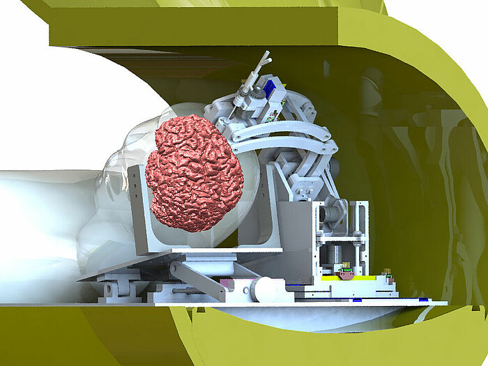 PiezoMotors 电源MRI机器人