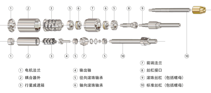 标有部件的剖视示意图，显示 FAULHABER 齿轮式线性推杆的结构。