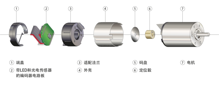 FAULHABER 光学增量式编码器 爆炸图 带标注部件的示意性分解视图,展示了FAULHABER光学增量式编码器的结构。