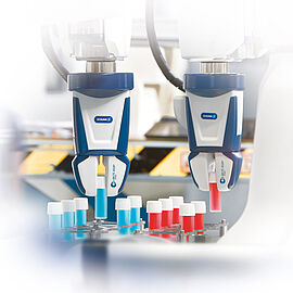 來自 Faulhaber 的 4 極無刷電機，用於 schunk 夾持器頭