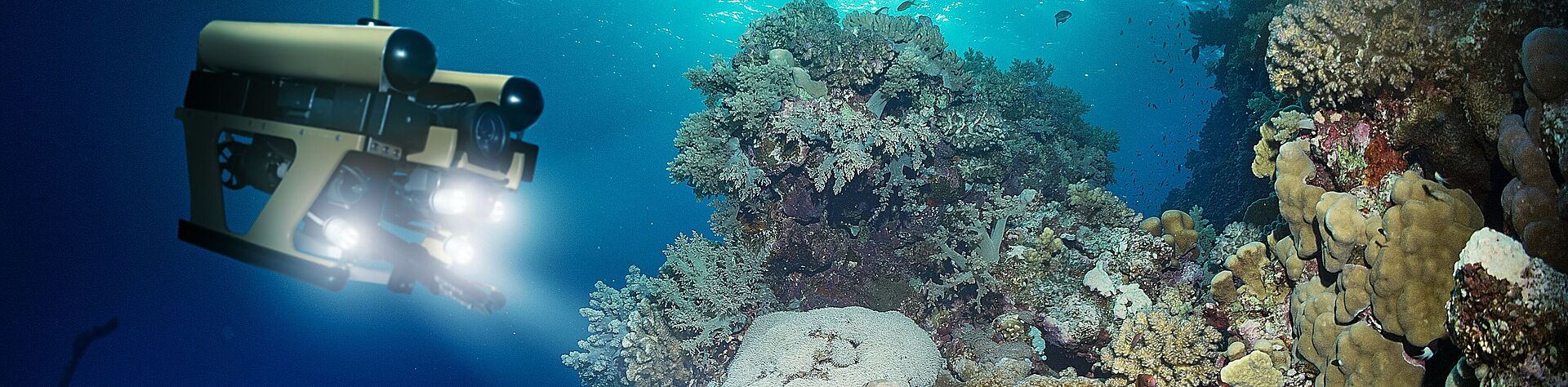 FAULHABER 无刷电机适用于深海应用等苛刻环境。 水下视图,一个装有前照灯的潜水机器人正在检查珊瑚礁--背景中可见沉船残骸。