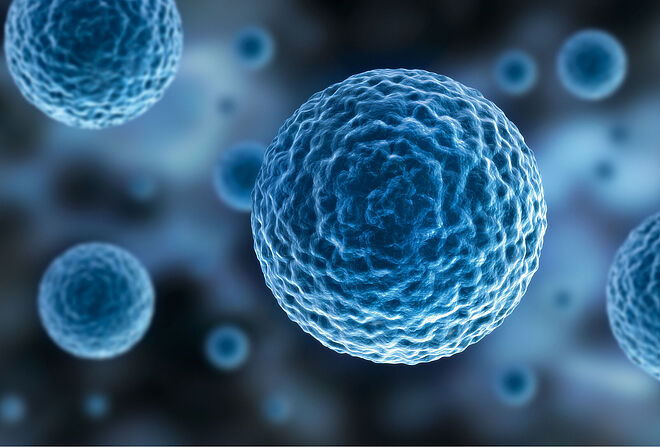 光学显微镜扫描阶段线性电机, header 线性直流伺服电机 OASIS Glide Scanning Stage 现代显微镜技术