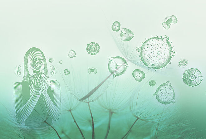 FAULHABER自动花粉监视器用直流电机, header FAULHABER 驱动器用于全自动花粉显示器