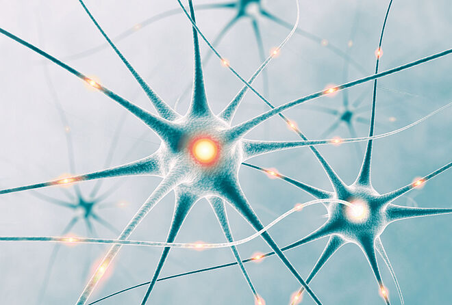 直流无刷电机 医疗机器人助理 TMS, header 直流无刷电机 高科技医疗机器人助理